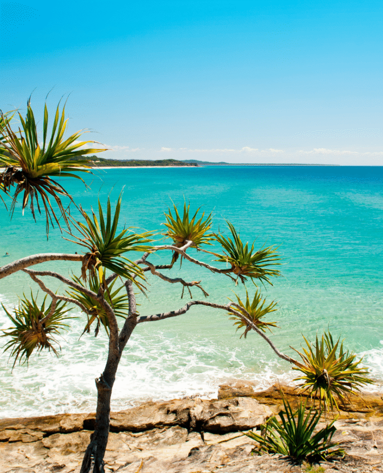 NWC-Aussie-6-website-photos 830 x 1024